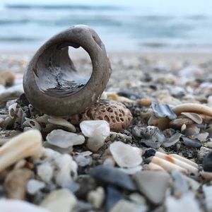 Meet your Posher, Traci